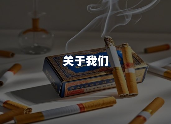 关于我们